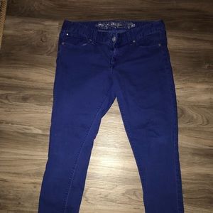 Royal blue Express jeans